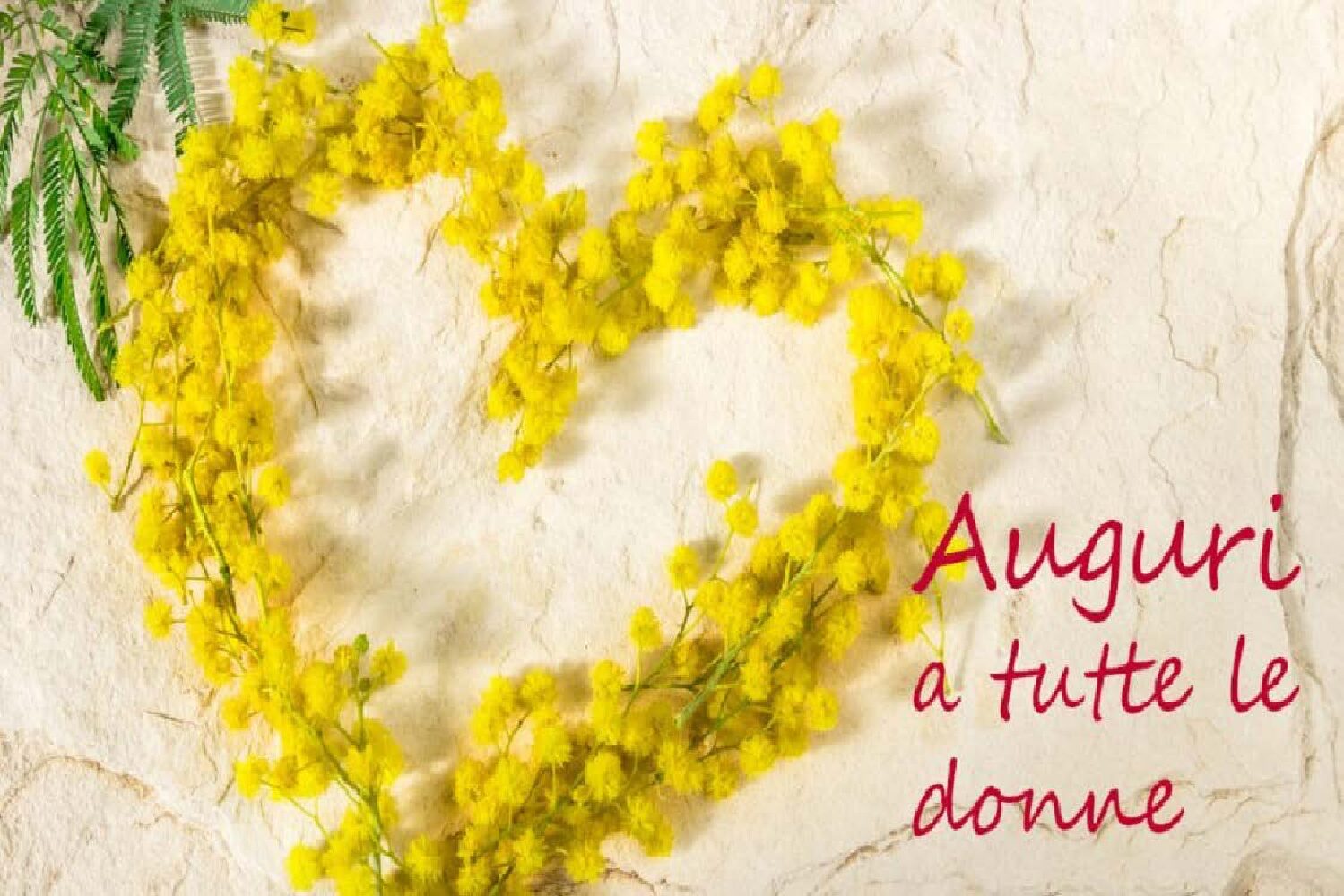 DIA-DE-LA-MUJER4-e1551977275134