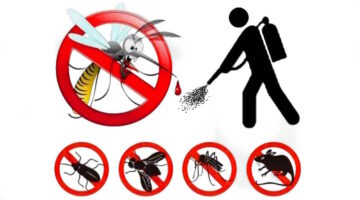 disinfestazione_reference