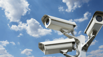 image-800-6be02395c408ab9f3b8ba270b6d4767b